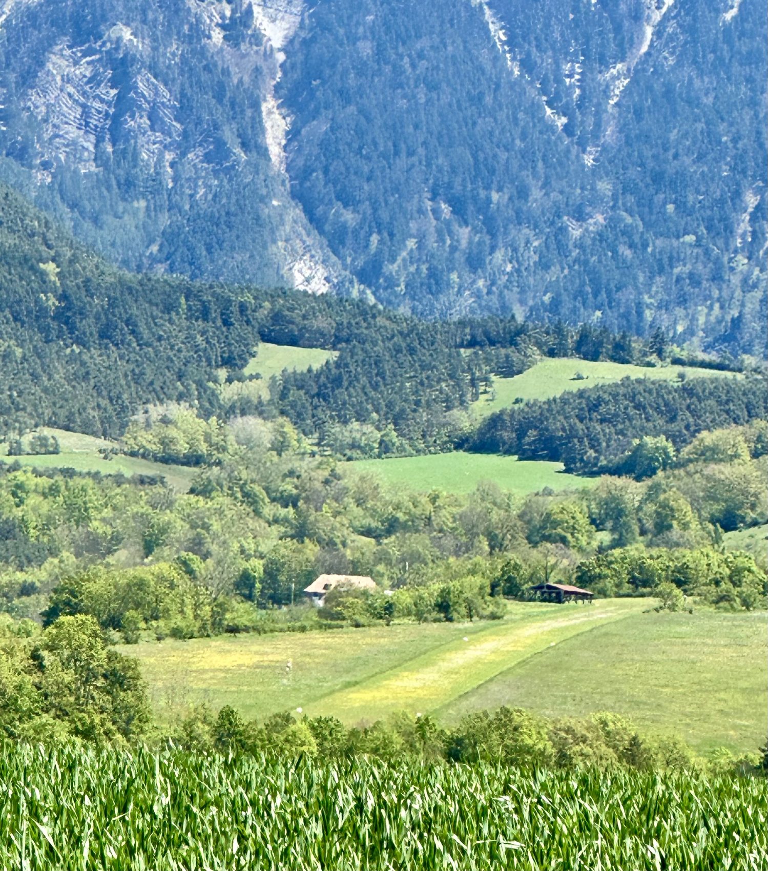 The grass strip at LFKK