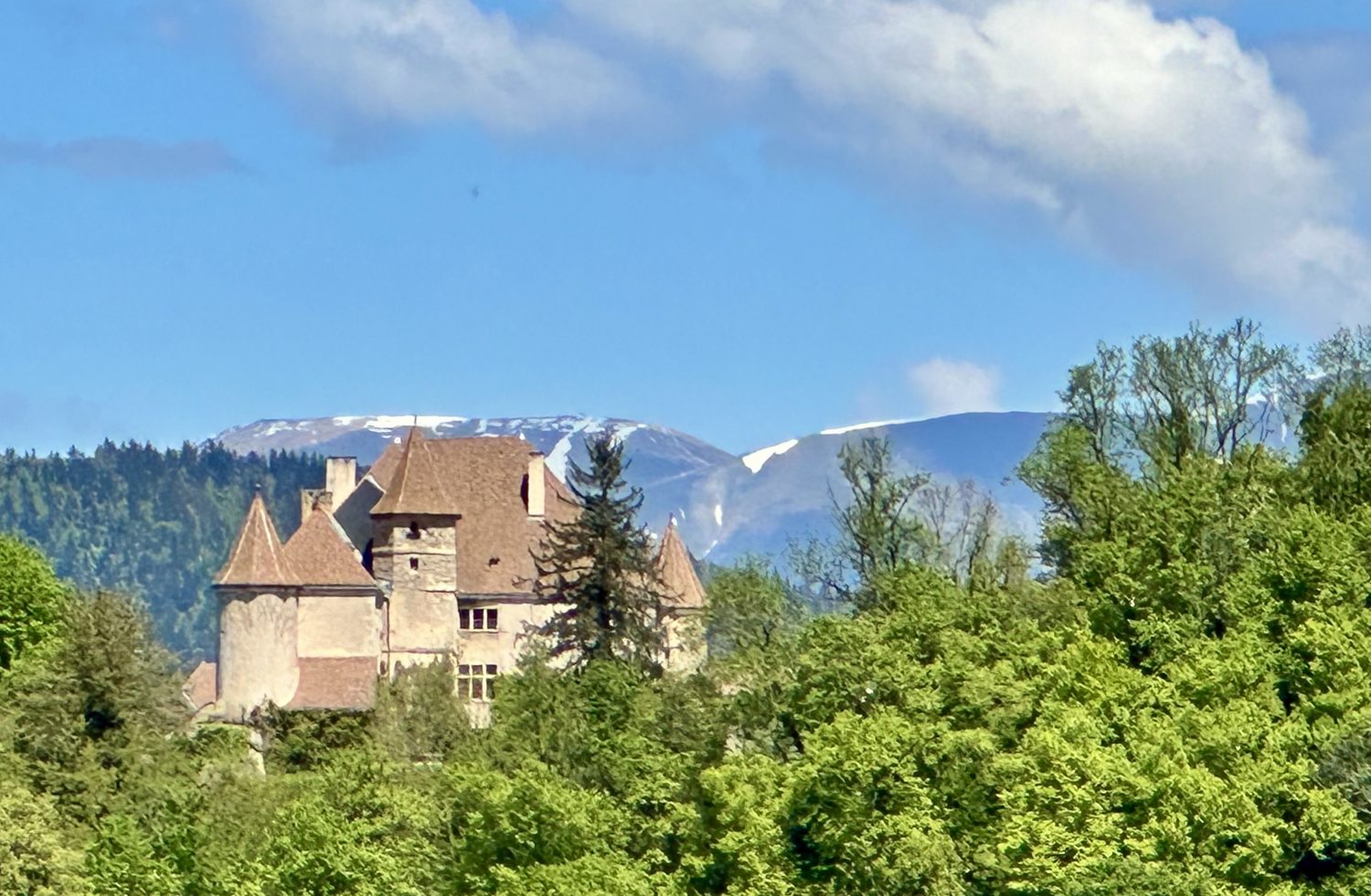 The château and the Alps